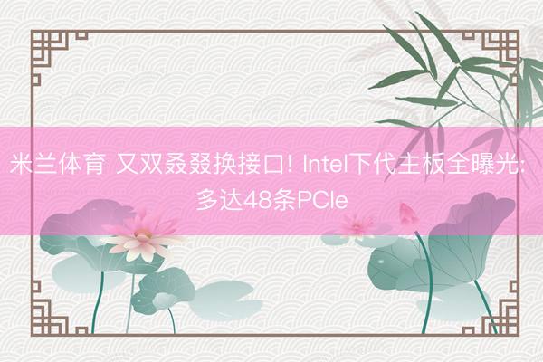 米兰体育 又双叒叕换接口! Intel下代主板全曝光: 多达48条PCIe