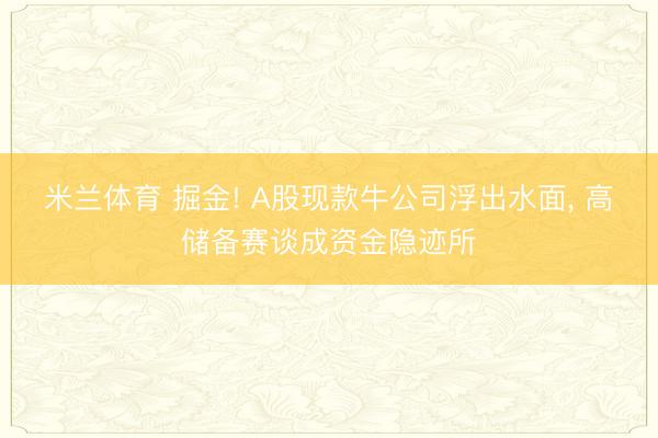 米兰体育 掘金! A股现款牛公司浮出水面, 高储备赛谈成资金隐迹所