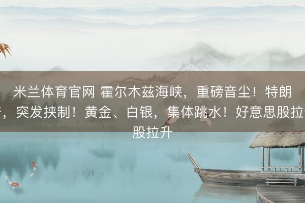米兰体育官网 霍尔木兹海峡，重磅音尘！特朗普，突发挟制！黄金、白银，集体跳水！好意思股拉升