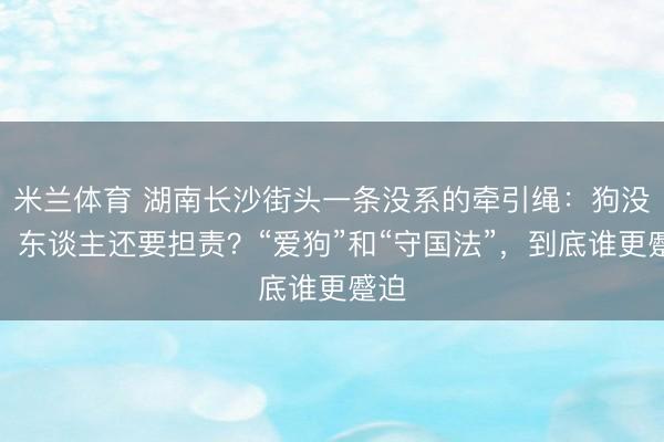 米兰体育 湖南长沙街头一条没系的牵引绳：狗没了，东谈主还要担责？“爱狗”和“守国法”，到底谁更蹙迫