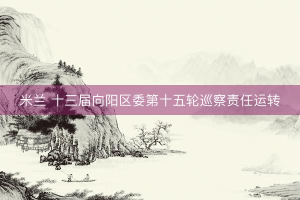 米兰 十三届向阳区委第十五轮巡察责任运转