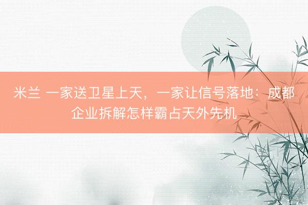 米兰 一家送卫星上天，一家让信号落地：成都企业拆解怎样霸占天外先机
